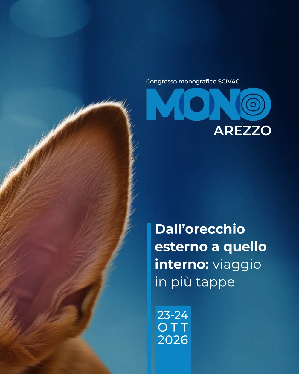 Congresso Monografico SCIVAC | Mono Arezzo 23-24 ottobre 2026